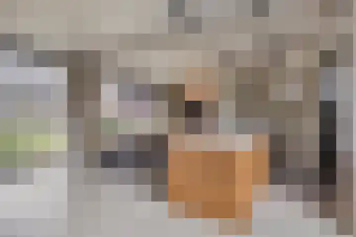 Vinkwijkseweg 9 Zeddam thumbnail 25