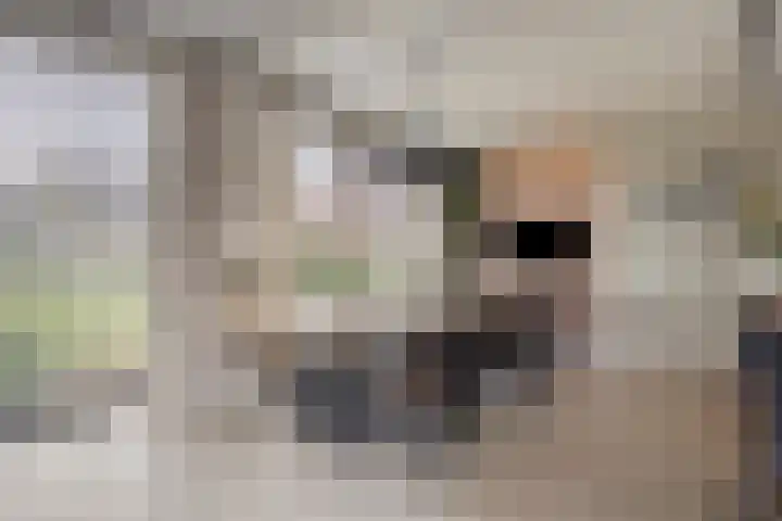 Vinkwijkseweg 9 Zeddam thumbnail 26