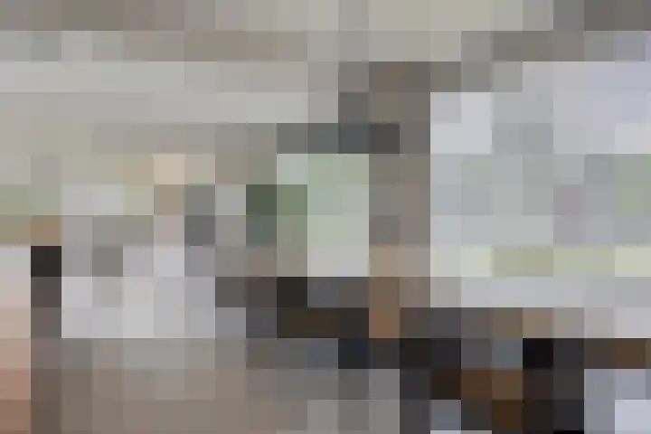 Vinkwijkseweg 9 Zeddam thumbnail 30