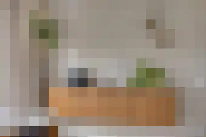 Vinkwijkseweg 9 Zeddam thumbnail 33