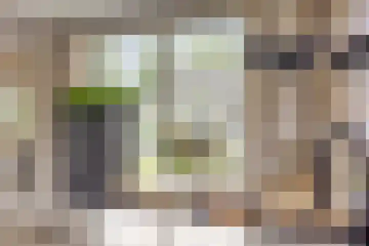Vinkwijkseweg 9 Zeddam thumbnail 35