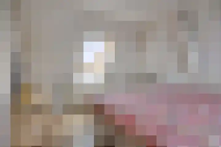 Vinkwijkseweg 9 Zeddam thumbnail 39