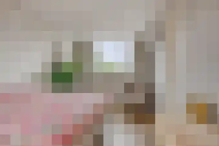 Vinkwijkseweg 9 Zeddam thumbnail 40