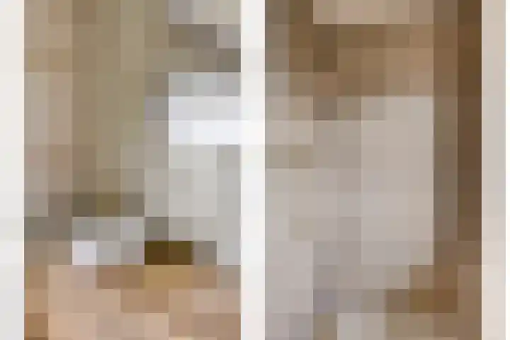 Vinkwijkseweg 9 Zeddam thumbnail 44
