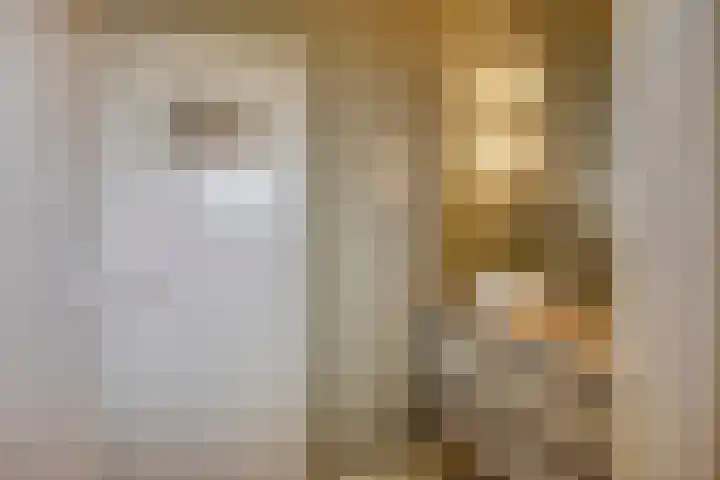 Vinkwijkseweg 9 Zeddam thumbnail 46