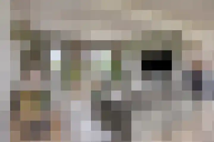 Vinkwijkseweg 9 Zeddam thumbnail 5