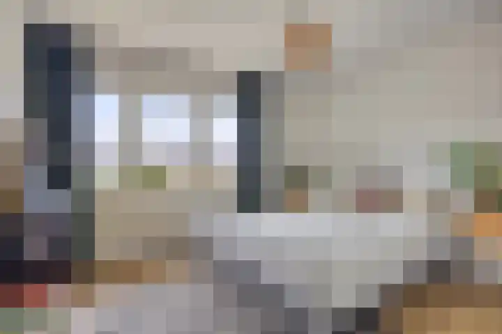 Vinkwijkseweg 9 Zeddam thumbnail 50