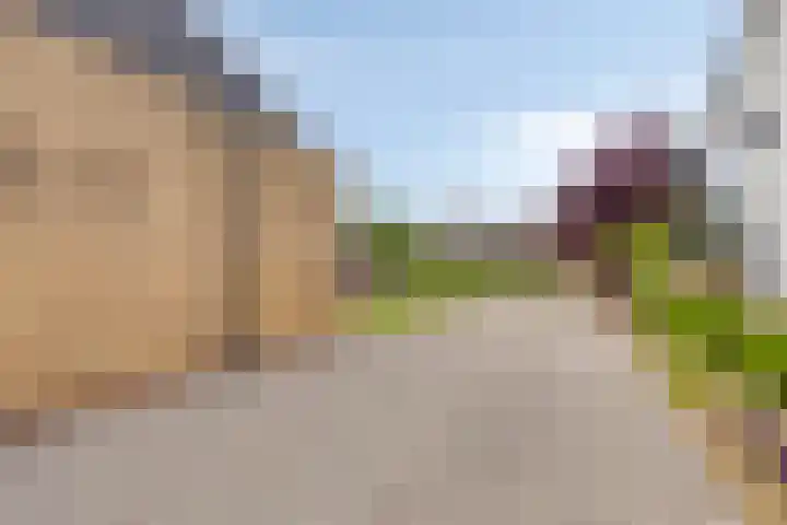 Vinkwijkseweg 9 Zeddam thumbnail 53