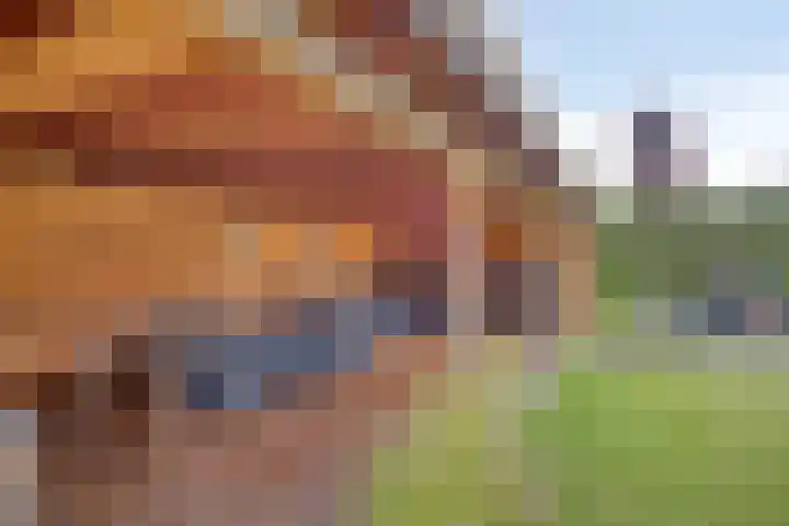 Vinkwijkseweg 9 Zeddam thumbnail 56
