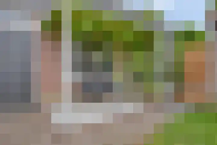 Vinkwijkseweg 9 Zeddam thumbnail 57