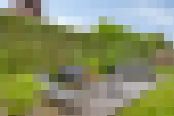 Vinkwijkseweg 9 Zeddam thumbnail 59