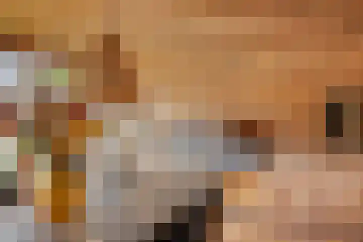 Vinkwijkseweg 9 Zeddam thumbnail 6