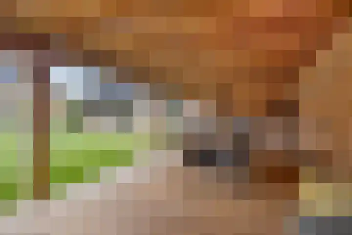 Vinkwijkseweg 9 Zeddam thumbnail 62