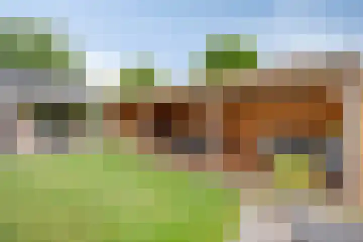 Vinkwijkseweg 9 Zeddam thumbnail 64