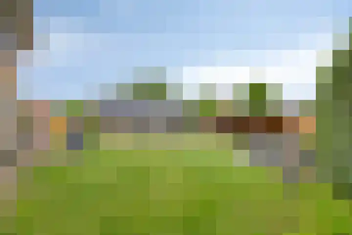 Vinkwijkseweg 9 Zeddam thumbnail 66