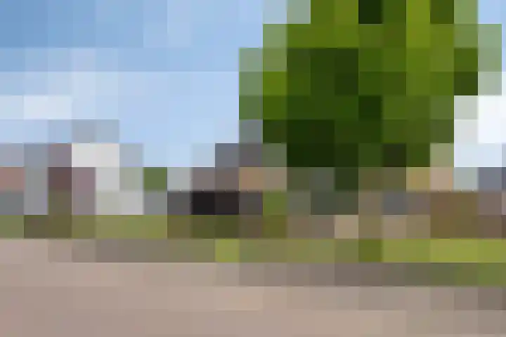 Vinkwijkseweg 9 Zeddam thumbnail 67