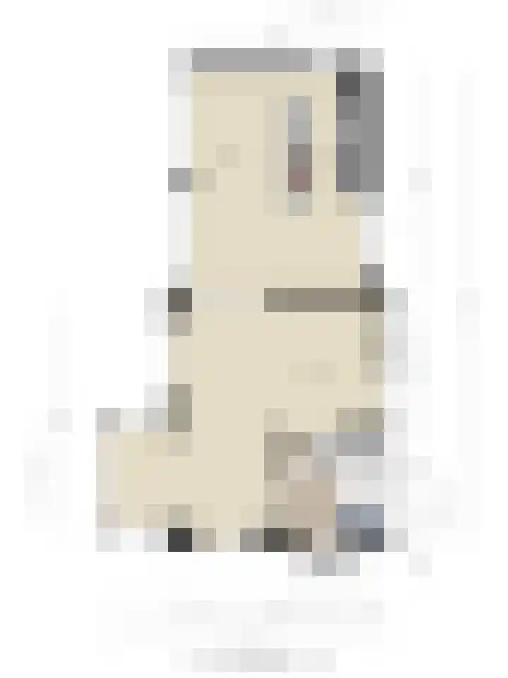 Vinkwijkseweg 9 Zeddam thumbnail 68