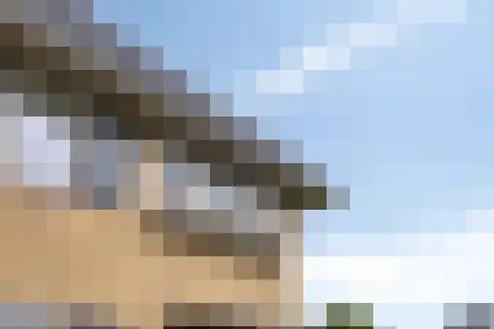 Vinkwijkseweg 9 Zeddam thumbnail 8