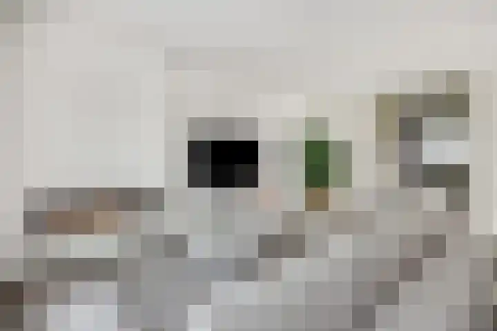 Violastraat 1 Kerkdriel thumbnail 10
