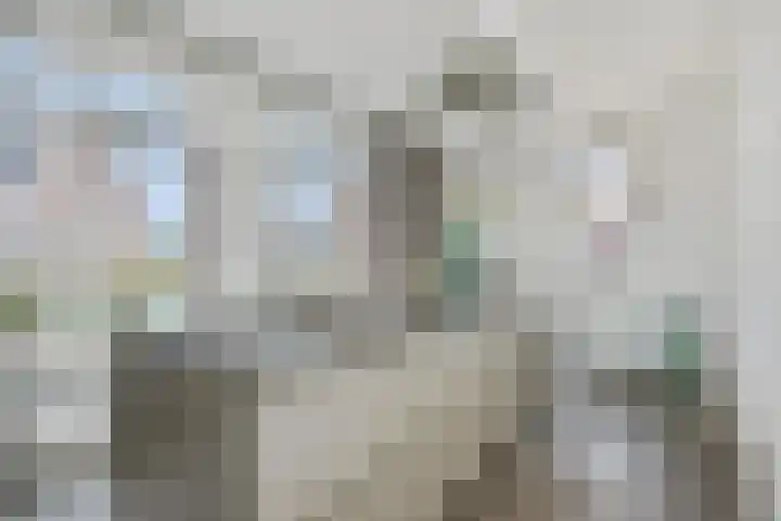 Violastraat 1 Kerkdriel thumbnail 15