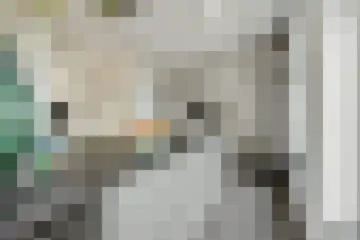 Violastraat 1 Kerkdriel thumbnail 17