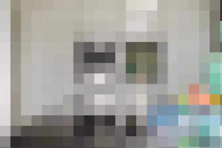 Violastraat 1 Kerkdriel thumbnail 18