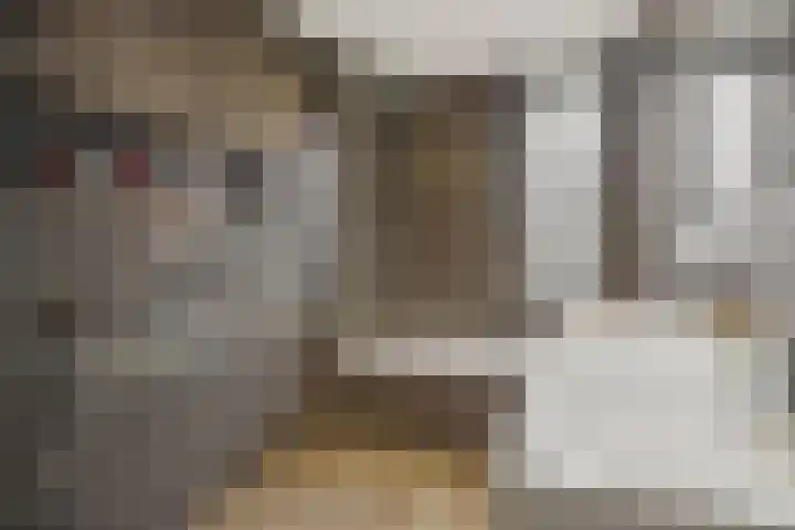 Violastraat 1 Kerkdriel thumbnail 23
