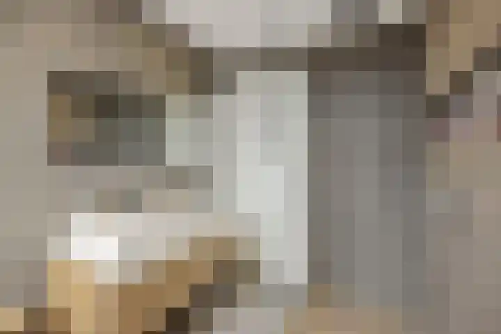 Violastraat 1 Kerkdriel thumbnail 24