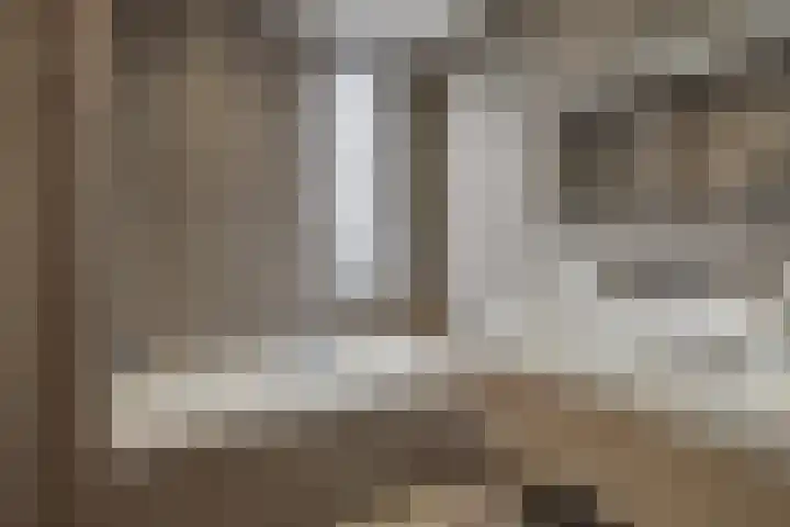 Violastraat 1 Kerkdriel thumbnail 26