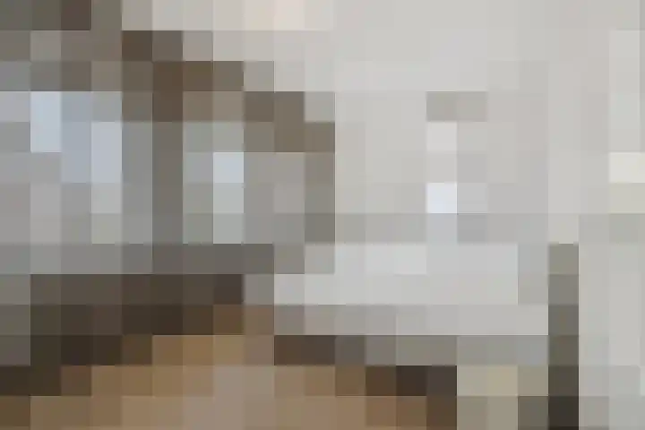Violastraat 1 Kerkdriel thumbnail 27