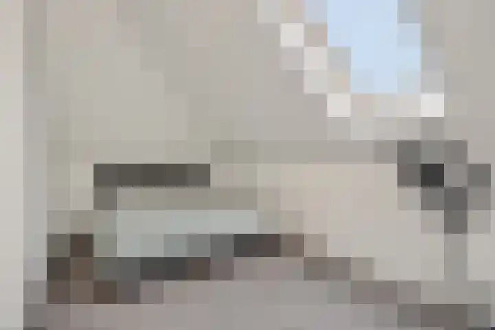 Violastraat 1 Kerkdriel thumbnail 30