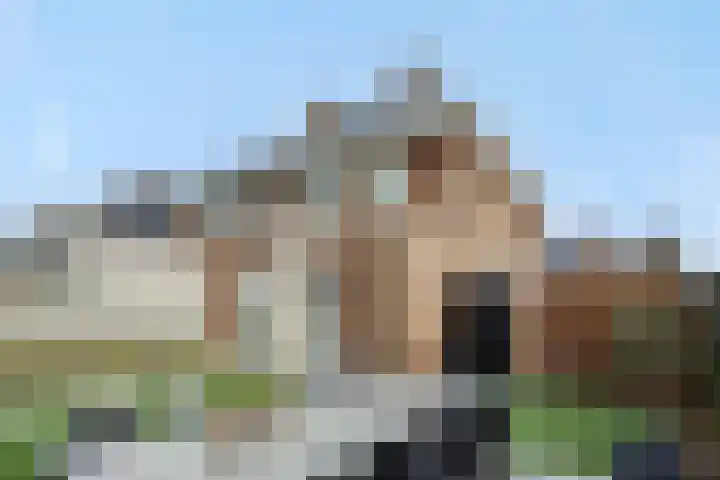 Violastraat 1 Kerkdriel thumbnail 33