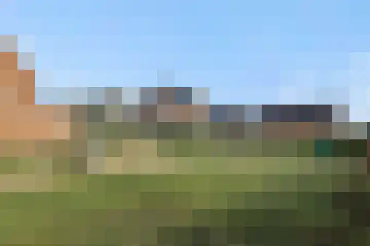 Violastraat 1 Kerkdriel thumbnail 39