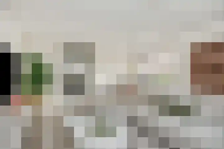 Violastraat 1 Kerkdriel thumbnail 7