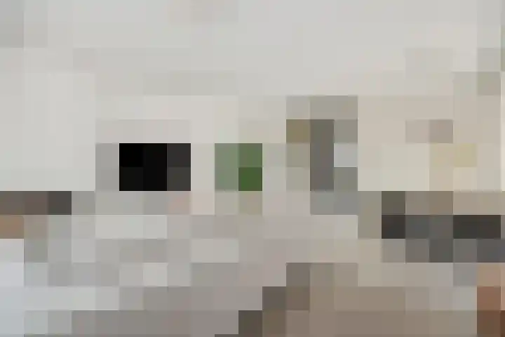 Violastraat 1 Kerkdriel thumbnail 9