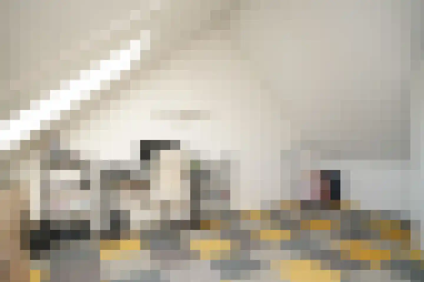 Violastraat 10 Kerkdriel thumbnail 24