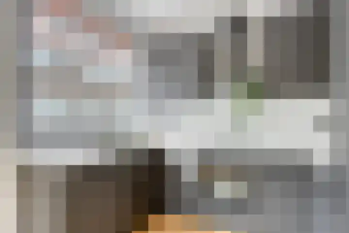 Violenstraat 1 A Rotterdam thumbnail 19