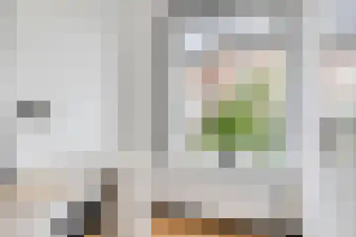 Violenstraat 1 A Rotterdam thumbnail 22
