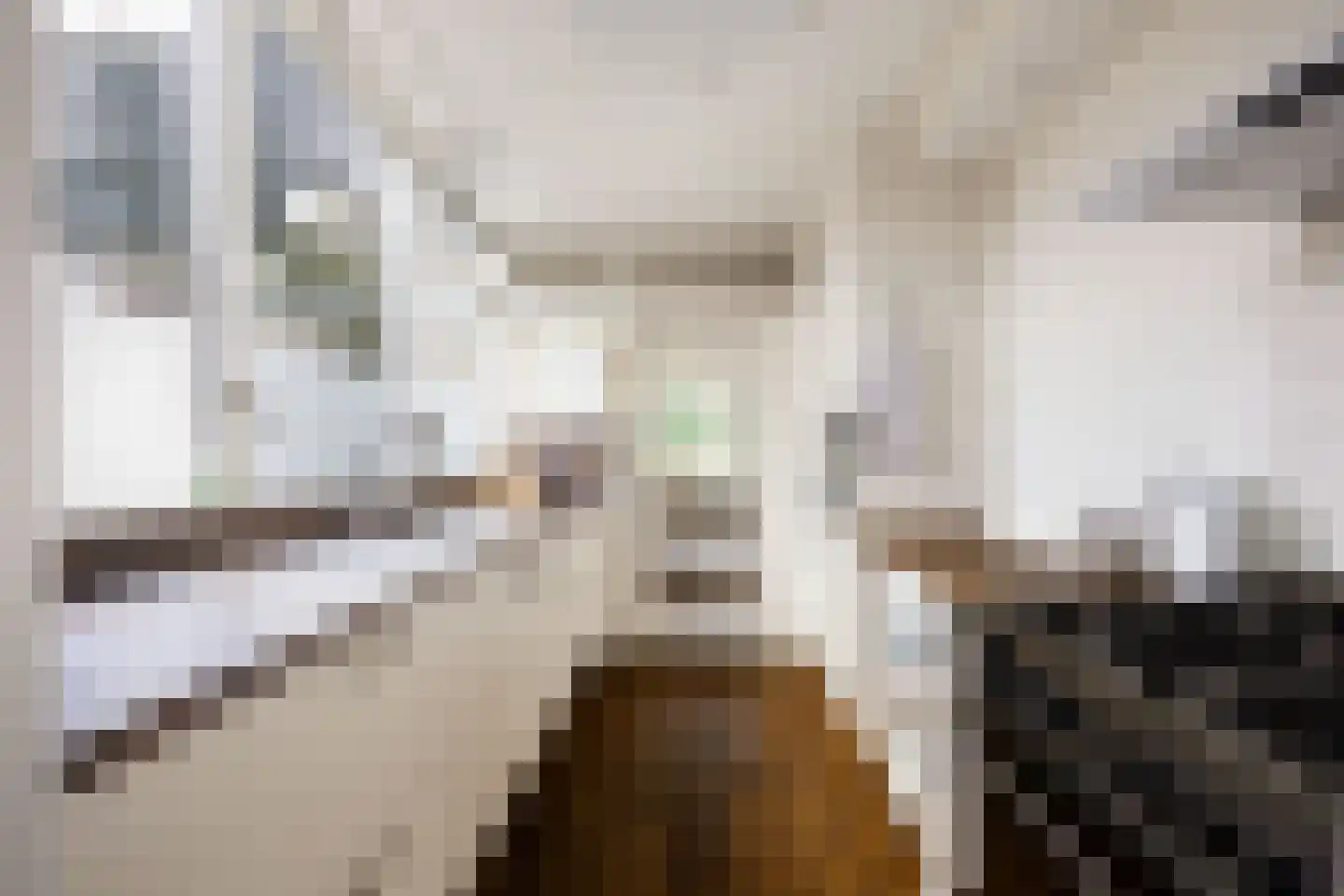 Violenstraat 10 Winsum thumbnail 13