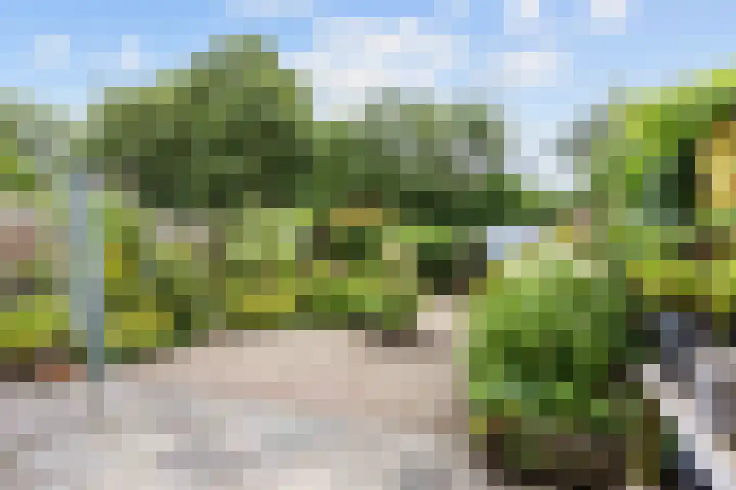 Violenstraat 10 Winsum thumbnail 23