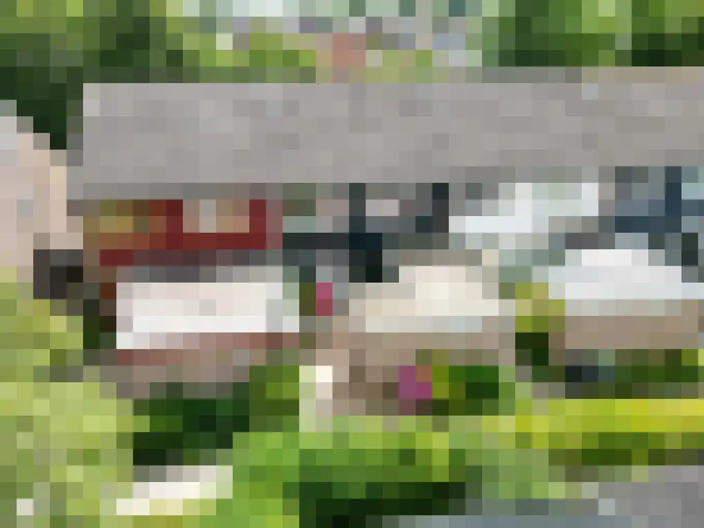 Violenstraat 10 Winsum thumbnail 4