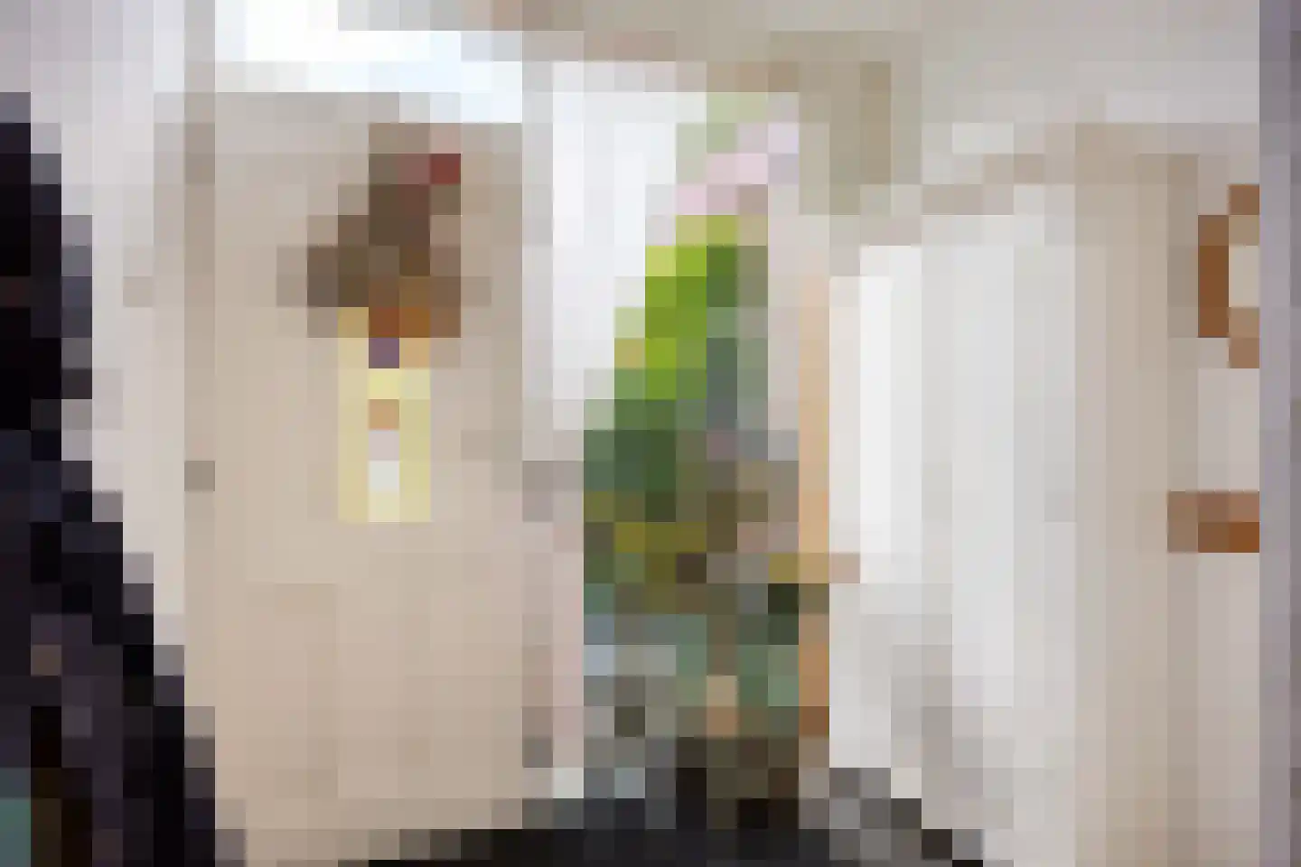 Violenstraat 10 Winsum thumbnail 6