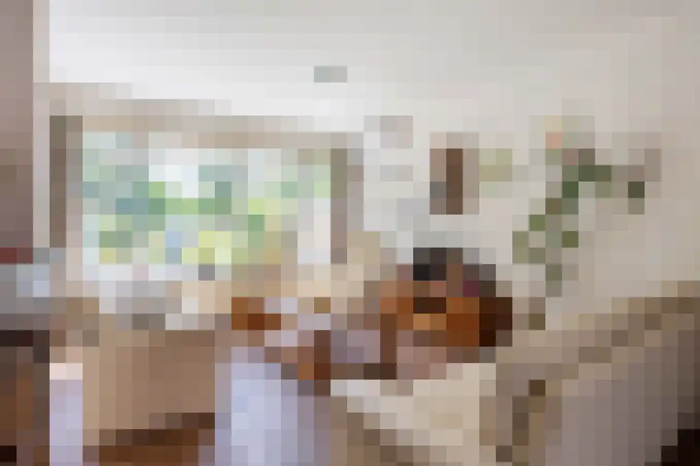 Violenstraat 10 Winsum thumbnail 8