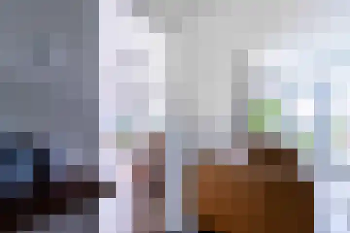 Violenstraat 104 Ommen thumbnail 34
