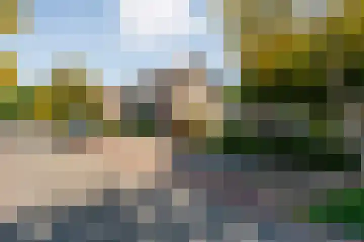 Violenstraat 104 Ommen thumbnail 4