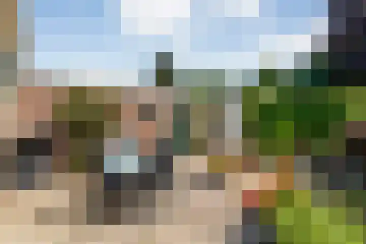 Violenstraat 104 Ommen thumbnail 43