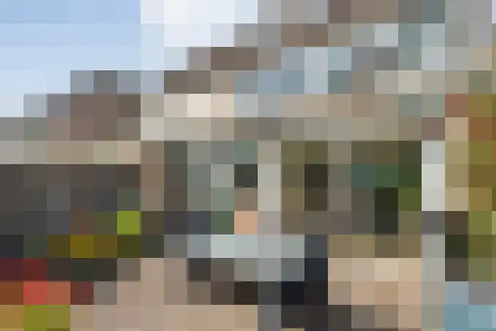 Violenstraat 104 Ommen thumbnail 44