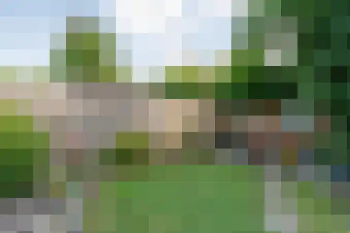 Violenstraat 104 Ommen thumbnail 48