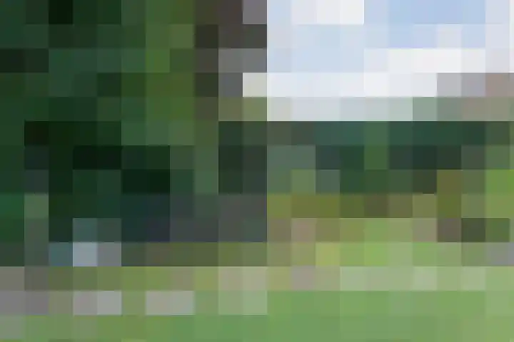 Violenstraat 104 Ommen thumbnail 49