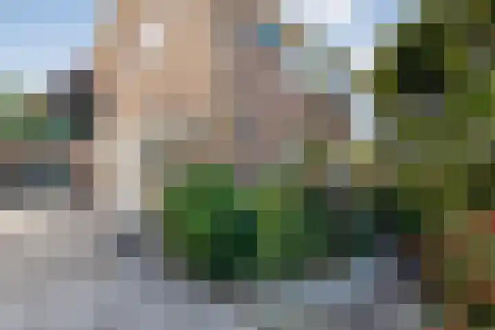 Violenstraat 104 Ommen thumbnail 5